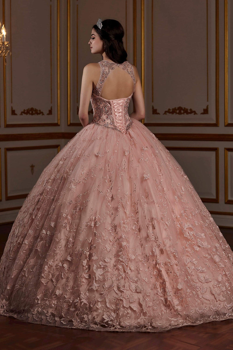 Ballgowns for Quinceanera and Sweet 16 26938