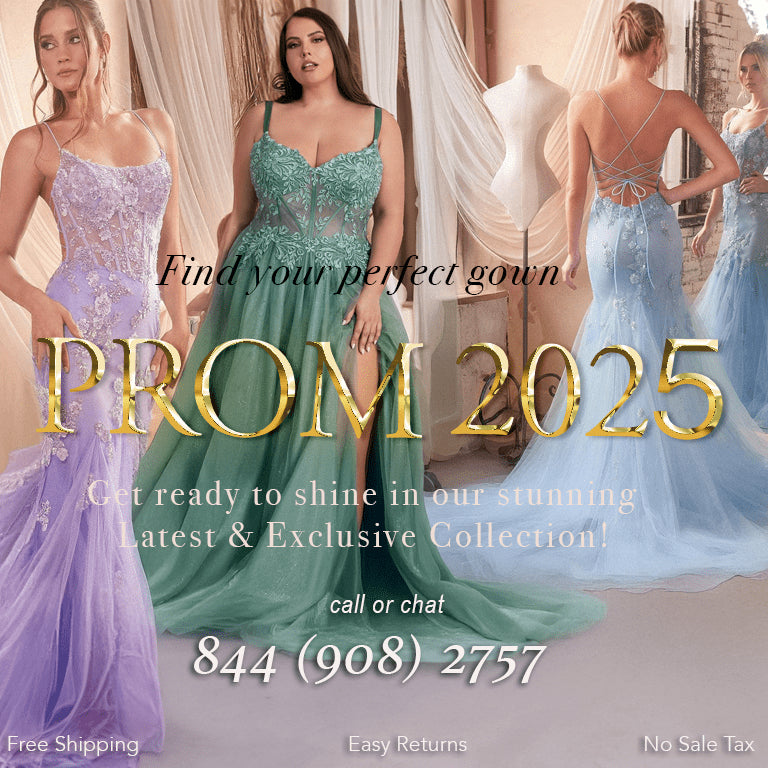 Prom Dresses 2025 Banner