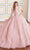 Princesa by Ariana Vara PR70103 - Short Sleeve Beaded Ball Gown