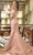 Terani Couture 242M3313 - Off-Shoulder Illusion Neckline Prom Gown