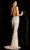 Aleta Couture 274 - V-Neck Crisscross Back Evening Dress Evening Dresses