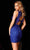 Aleta Couture 722 - Fringe Back Sheath Cocktail Dress Homecoming Dresses