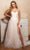 Alyce Paris 61723 - Strapless Lace Applique Prom Gown Prom Dresses 000 / Ivory-Sand