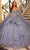 Amarra 54216 - 3D Floral Embellished Corset Bodice Ballgown Quinceanera Dresses 00 / Dusty Blue