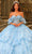 Amarra 54230 - 3D Floral Appliqued Strapless Ballgown Quinceanera Dresses