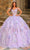 Amarra 54232 - Sweetheart Floral Glittered Ballgown Quinceanera Dresses 00 / Lilac