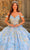 Amarra 54232 - Sweetheart Floral Glittered Ballgown Quinceanera Dresses