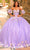 Amarra 54234 - Floral Embroidered Sweetheart Ballgown Quinceanera Dresses 00 / Lilac