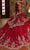 Amarra 54236 - Sweetheart Neck Lace Applique Ballgown Quinceanera Dresses