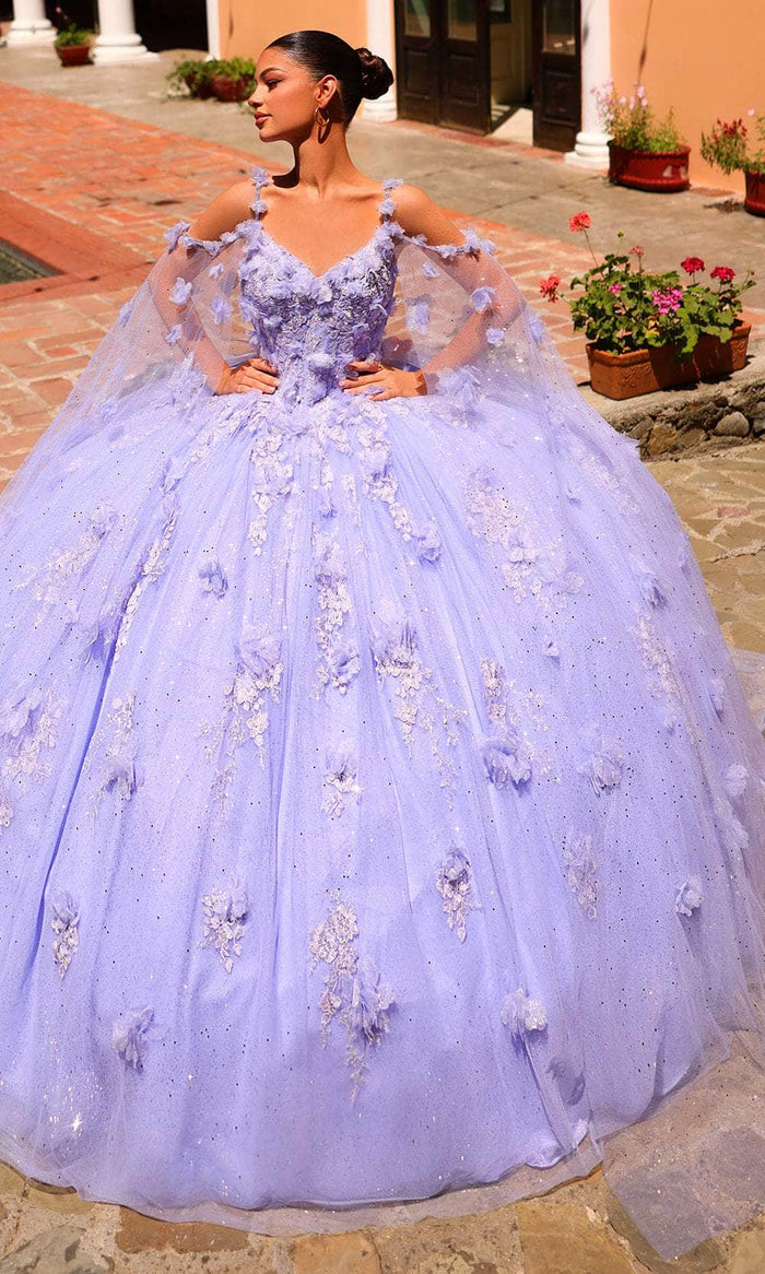 Amarra 54254 - 3D Floral Embroidered Lace Ballgown Special Occasion Dress 00 / Periwinkle