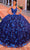 Amarra 54260 - Butterfly Embellished Sleeveless Ballgown Special Occasion Dress 00 / Royal Blue