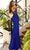 Amarra 88869 - Sheath Illusion Evening Dress Special Occasion Dress