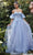 Andrea and Leo A1108 - Strapless Floral Appliqued Ballgown Ball Gowns 2 / Paris Blue