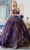 Aspeed Design L2822C - Sequin Appliqued Sweetheart Ballgown Quinceanera Dresses