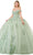 Aspeed Design L2822C - Sequin Appliqued Sweetheart Ballgown Quinceanera Dresses XXS / Sage