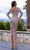 Chic and Holland HF110418 - Illusion Bateau Bodycon Evening Dress Evening Dresses