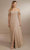 Christina Wu Celebration 22162 - Long Chiffon Gown Special Occasion Dress