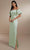 Christina Wu Celebration 22163 - Satin Gown Special Occasion Dress 0 / Meadow