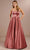 Christina Wu Celebration 22191 - Prom Gown Special Occasion Dress