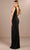 Christina Wu Celebration 22199 - Sleeveless Evening Dress Evening Dresses