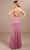 Christina Wu Celebration 22201 - Scoop Sleeveless Prom Gown Prom Dresses