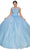 Cinderella Couture 8025J - 3D Floral Applique Sleeveless Ballgown Special Occasion Dress XS / Blue