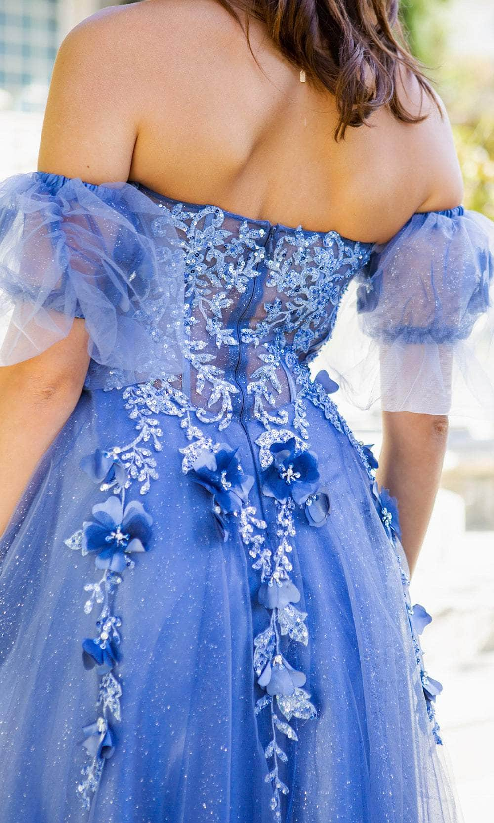 Cinderella Couture Dresses