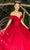 Cinderella Couture 8045J - Floral Appliqued Deep Sweetheart Ballgown Special Occasion Dress