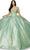 Cinderella Couture 8045J - Floral Appliqued Deep Sweetheart Ballgown Special Occasion Dress