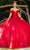 Cinderella Couture 8045J - Floral Appliqued Deep Sweetheart Ballgown Special Occasion Dress