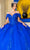 Cinderella Couture 8045J - Floral Appliqued Deep Sweetheart Ballgown Special Occasion Dress