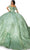 Cinderella Couture 8045J - Floral Appliqued Deep Sweetheart Ballgown Special Occasion Dress