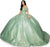 Cinderella Couture 8045J - Floral Appliqued Deep Sweetheart Ballgown Special Occasion Dress