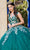 Cinderella Couture 8046J - Butterfly Appliqued Sweetheart Ballgown Special Occasion Dress