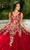 Cinderella Couture 8046J - Butterfly Appliqued Sweetheart Ballgown Special Occasion Dress