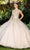 Cinderella Couture 8046J - Butterfly Appliqued Sweetheart Ballgown Special Occasion Dress