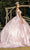 Cinderella Couture 8060J - Floral Applique Off-Shoulder Ballgown Special Occasion Dress