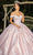 Cinderella Couture 8060J - Floral Applique Off-Shoulder Ballgown Special Occasion Dress