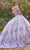 Cinderella Divine 15704 - Floral Appliqué Sweetheart Ballgown Ball Gowns