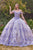 Cinderella Divine 15704 - Floral Appliqué Sweetheart Ballgown Ball Gowns