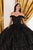 Cinderella Divine 15704 - Floral Appliqué Sweetheart Ballgown Ball Gowns