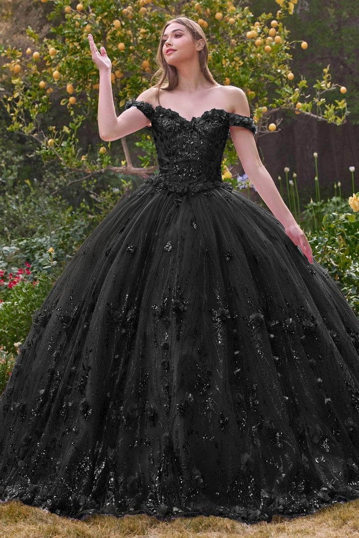 Cinderella Divine 15704 - Floral Appliqué Sweetheart Ballgown Ball Gowns XS / Black