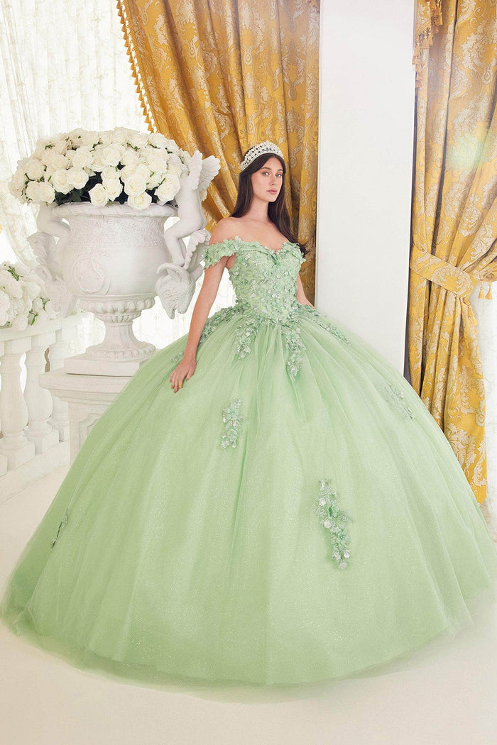 Cinderella Divine 15710 - Off-Shoulder Ballgown with Floral Embellishments Ball Gowns XXS / Greenery