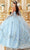 Cinderella Divine 15714 - Floral Applique Strapless Ballgown Quinceanera Dresses