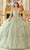 Cinderella Divine 15714 - Floral Applique Strapless Ballgown Quinceanera Dresses XS / Sage