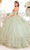 Cinderella Divine 15716 - Floral Embellished Sweetheart Ballgown Ball Gowns