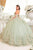 Cinderella Divine 15716 - Floral Embellished Sweetheart Ballgown Ball Gowns