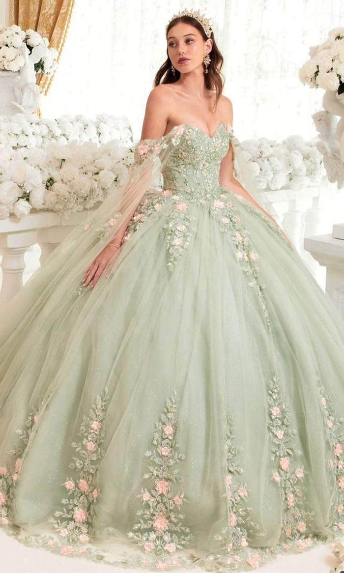 Cinderella Divine 15716 - Floral Embellished Sweetheart Ballgown Ball Gowns XXS / Sage