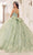 Cinderella Divine 15718 - Floral Applique Ballgown Ball Gowns