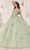 Cinderella Divine 15718 - Floral Applique Ballgown Ball Gowns